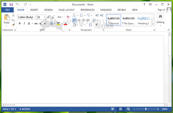 MS Office 2013 Portable