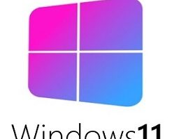 Windows 11 Pro Lite Icon