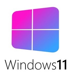 Windows 11 Pro Lite Icon