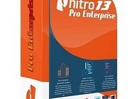 Nitro Pro Enterprise 13 Portable